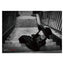 POSTERS [Set of 2]
